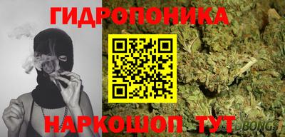 гашик Обнинск