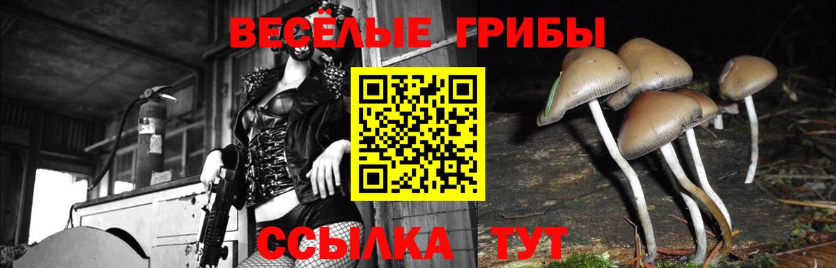 Псилоцибиновые грибы Psilocybe  Вход с VPN  хочу наркоту  Рузаевка 